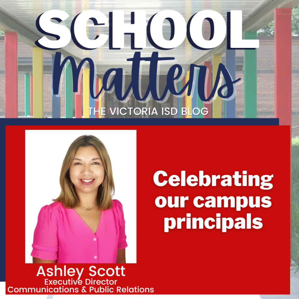 school matters visd principals