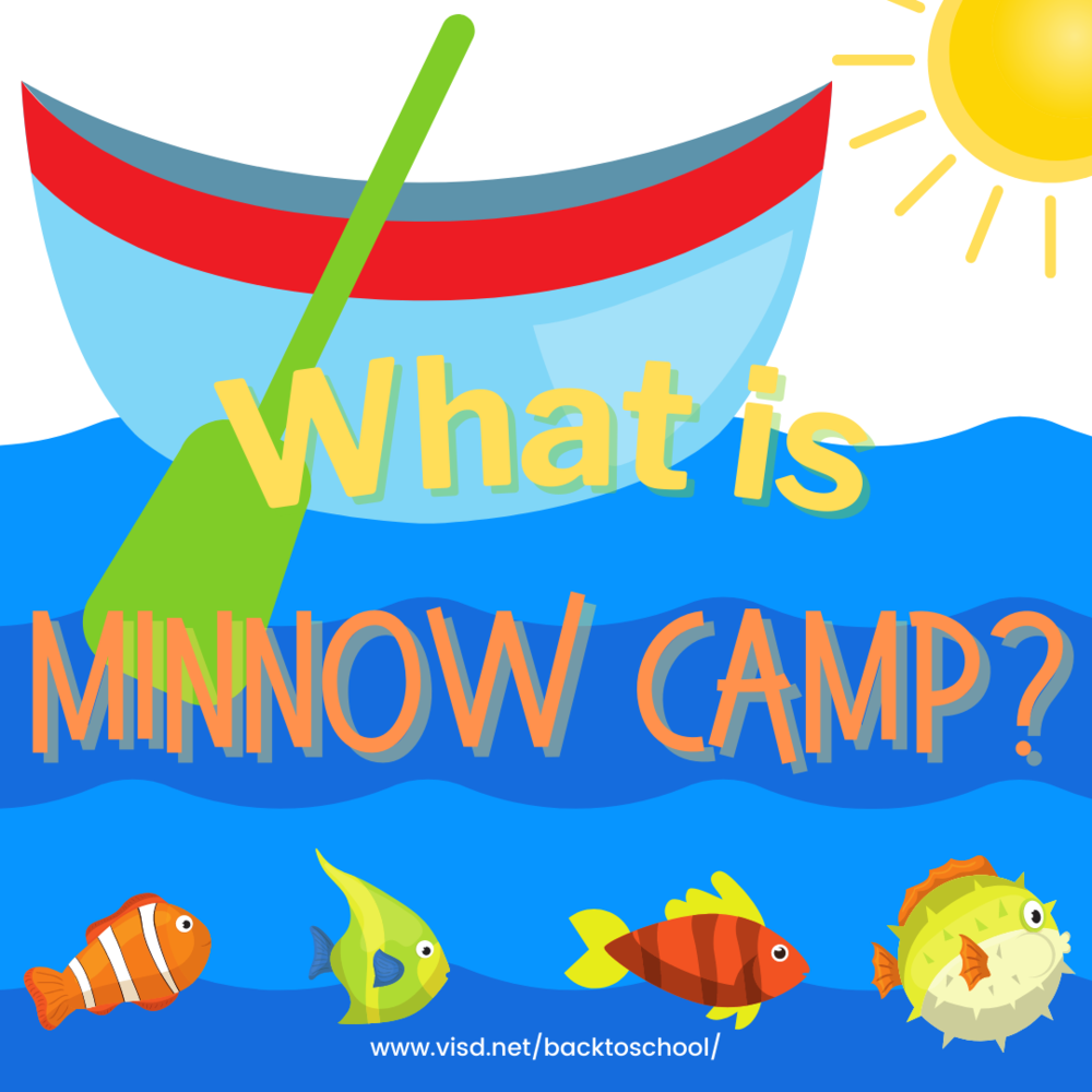 minnow camp