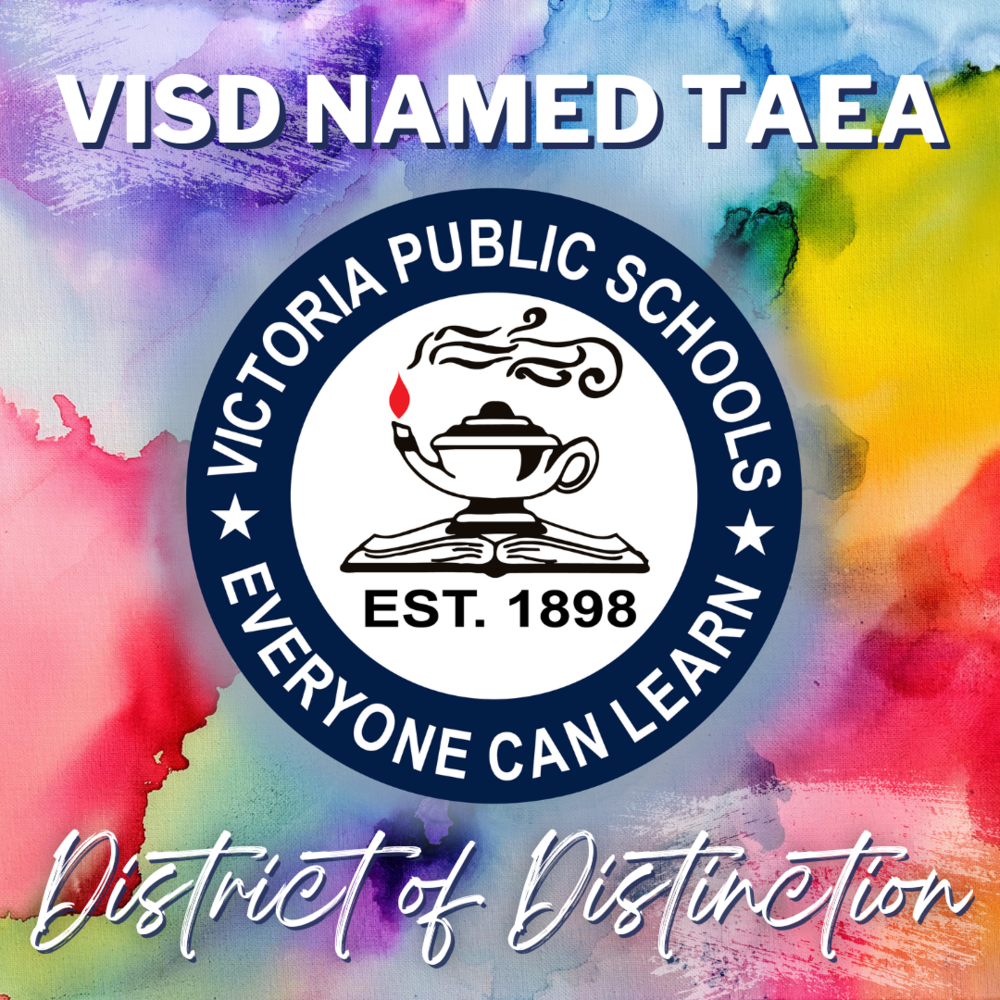 VISD TAEA District of Distinction