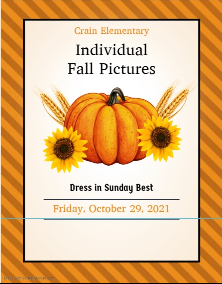 Fall Picture Info